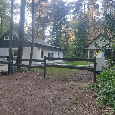 Ferienhaus Huette An Der Aa