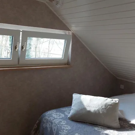 Huette An Der Aa Tatil Evi *